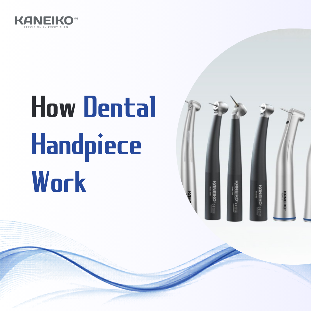 Kaneiko dental handpiece working mechanism showing high speed and low speed handpieces