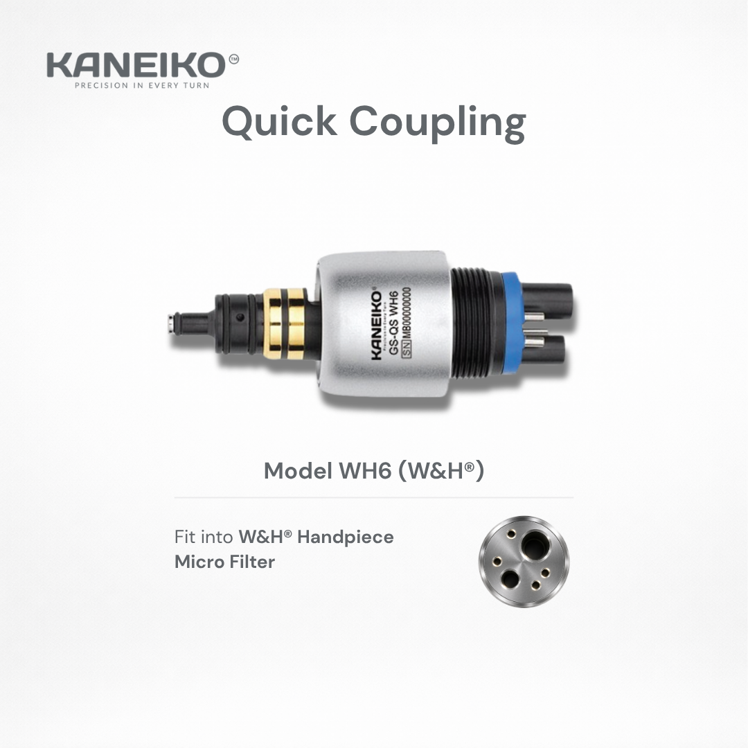 Kaneiko WH6 dental quick coupling for compatible W&H handpieces with microfilter and secure six-pin dental unit connection.